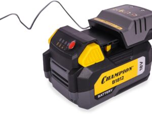 Аккумулятор CHAMPION B1812
